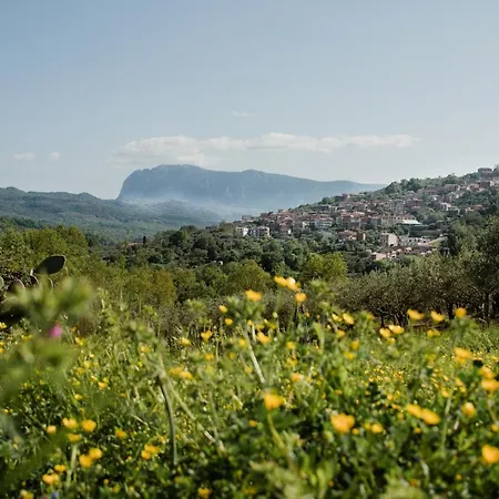 Antico Sogno Gasthof Alfano
