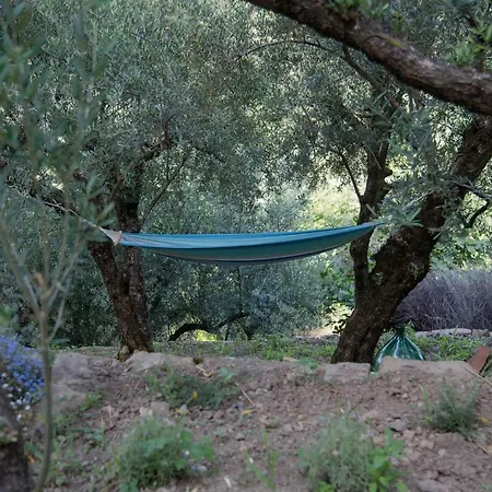 Antico Sogno 3* Alfano