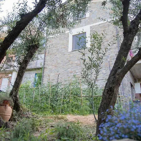 Antico Sogno 3*